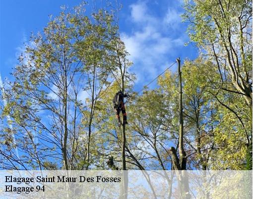 Elagage  94100