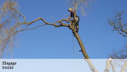 Elagage  94440