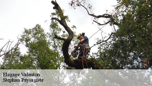 Elagage  94460