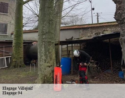 Elagage  villejuif-94800 Elagage 94