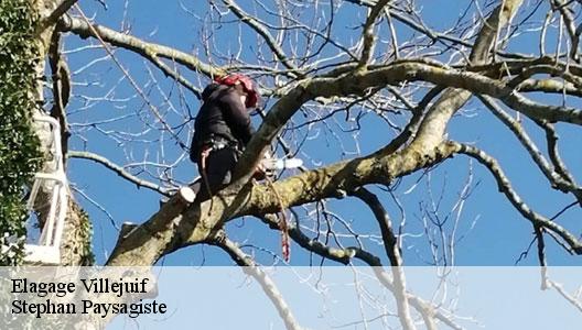 Elagage  94800
