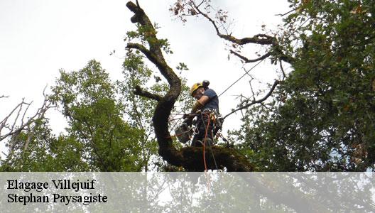 Elagage  94800