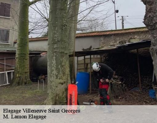 Elagage villeneuve-saint-georges-94190 M. Lamon Elagage