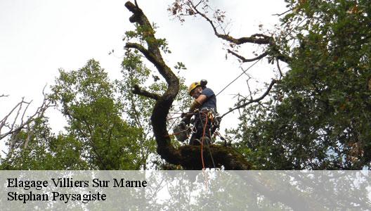 Elagage  94350