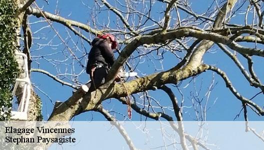 Elagage  94300