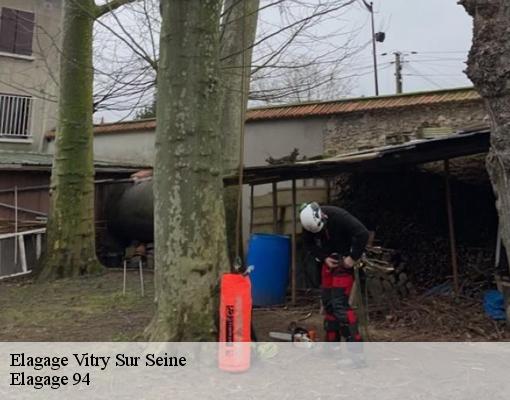 Elagage  vitry-sur-seine-94400 Elagage 94