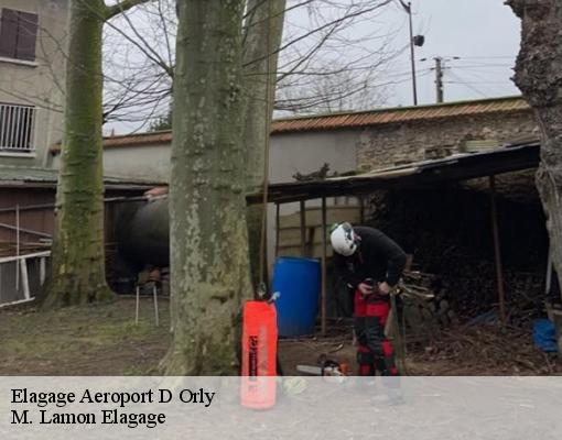 Elagage aeroport-d-orly-94390 M. Lamon Elagage