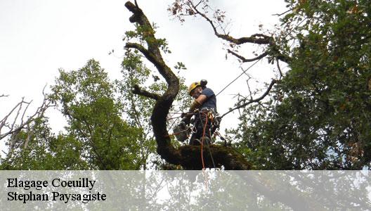 Elagage  94500
