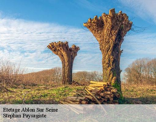 Etetage  ablon-sur-seine-94480 Stephan Paysagiste