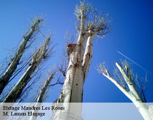 Etetage  mandres-les-roses-94520 M. Lamon Elagage
