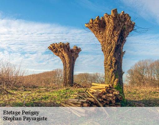 Etetage  perigny-94520 Stephan Paysagiste
