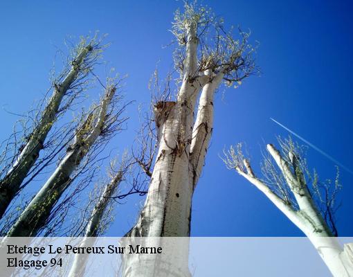 Etetage  le-perreux-sur-marne-94170 Elagage 94