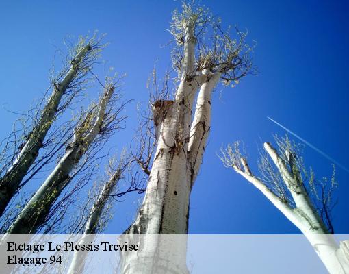 Etetage le-plessis-trevise-94420 Elagage 94