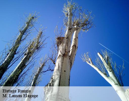 Etetage  rungis-94150 M. Lamon Elagage