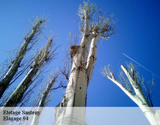 Etetage santeny-94440 Elagage 94