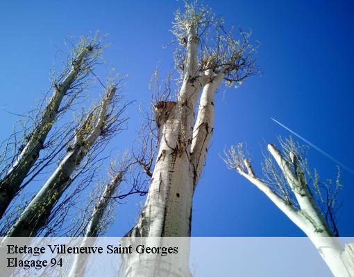 Etetage villeneuve-saint-georges-94190 Elagage 94