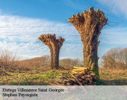 Etetage villeneuve-saint-georges-94190 Stephan Paysagiste