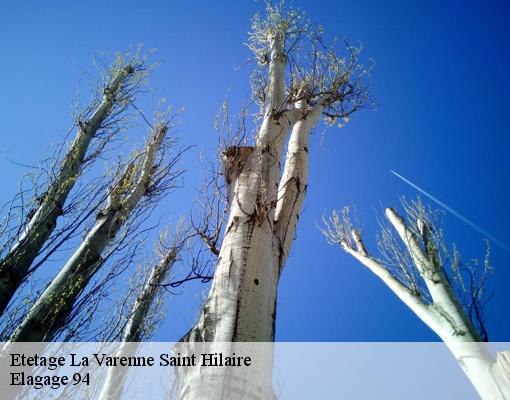 Etetage  la-varenne-saint-hilaire-94210 Elagage 94