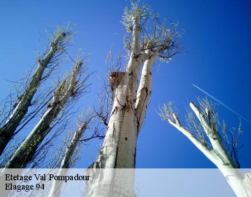 Etetage  val-pompadour-94460 Elagage 94