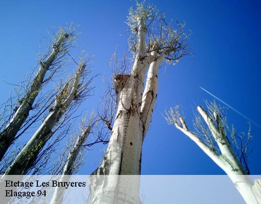 Etetage  les-bruyeres-94370 Elagage 94