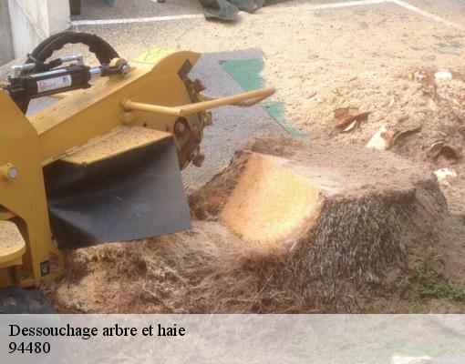 Dessouchage arbre et haie 94480