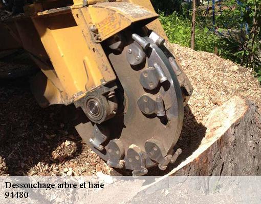 Dessouchage arbre et haie 94480