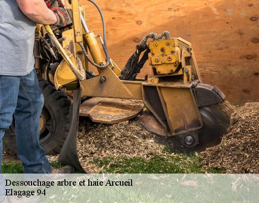Dessouchage arbre et haie  94110