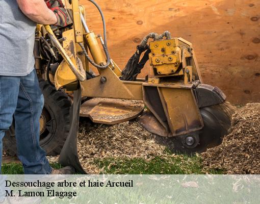Dessouchage arbre et haie 94110