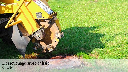 Dessouchage arbre et haie  94230