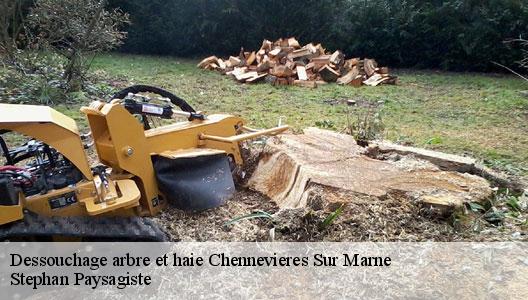 Dessouchage arbre et haie 94430