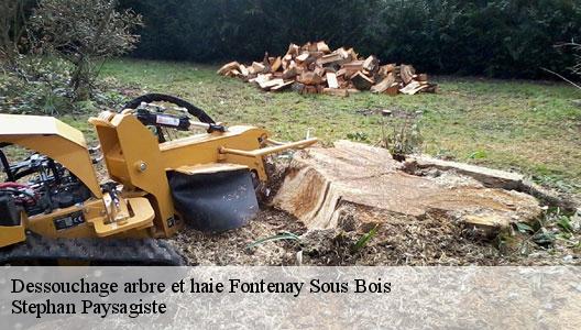 Dessouchage arbre et haie 94120