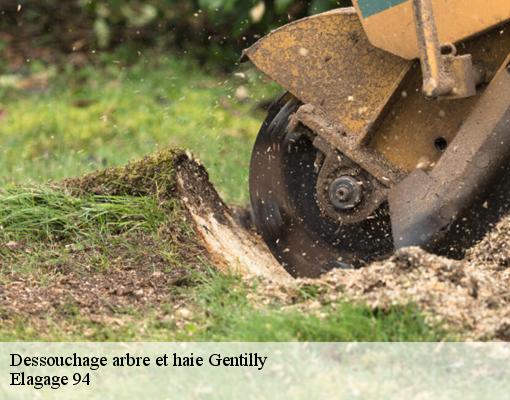 Dessouchage arbre et haie gentilly-94250 Elagage 94