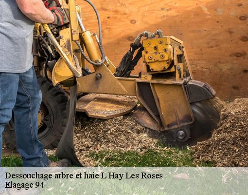 Dessouchage arbre et haie  94240