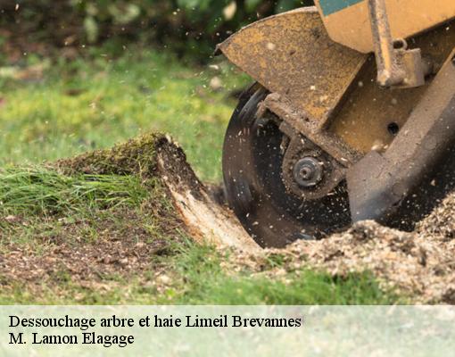 Dessouchage arbre et haie limeil-brevannes-94450 M. Lamon Elagage