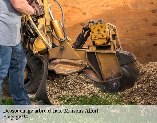 Dessouchage arbre et haie 94700