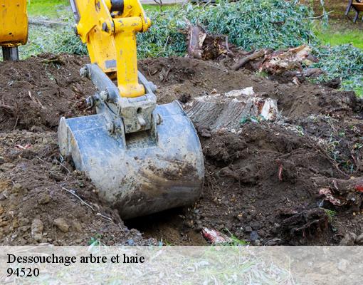 Dessouchage arbre et haie