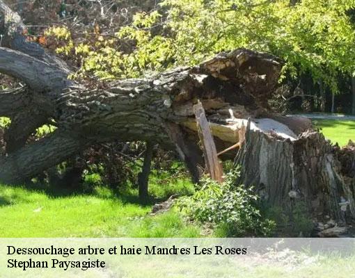 Dessouchage arbre et haie  mandres-les-roses-94520 Stephan Paysagiste