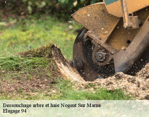 Dessouchage arbre et haie  nogent-sur-marne-94130 Elagage 94