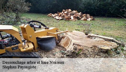 Dessouchage arbre et haie  94880