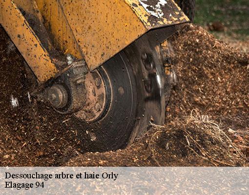 Dessouchage arbre et haie