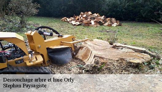 Dessouchage arbre et haie  94310