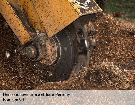 Dessouchage arbre et haie