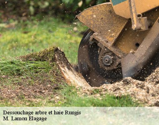 Dessouchage arbre et haie  rungis-94150 Wels Elagage