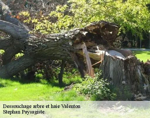 Dessouchage arbre et haie valenton-94460 Stephan Paysagiste