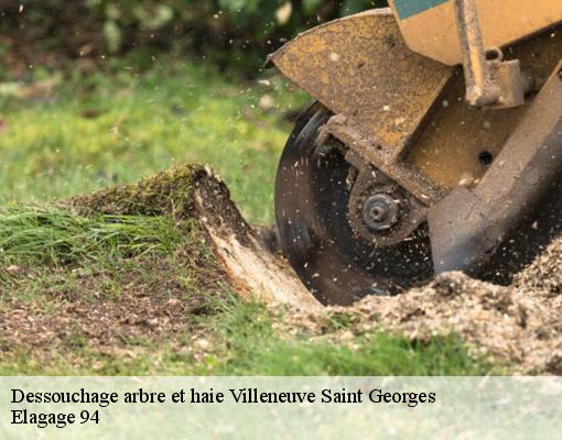 Dessouchage arbre et haie villeneuve-saint-georges-94190 Elagage 94
