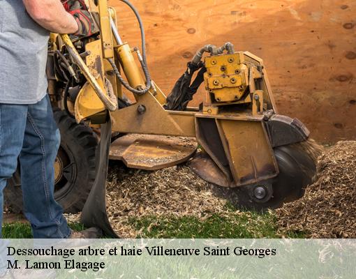 Dessouchage arbre et haie 94190