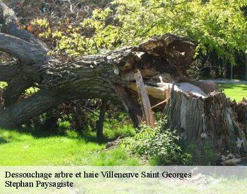 Dessouchage arbre et haie  villeneuve-saint-georges-94190 Stephan Paysagiste