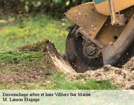 Dessouchage arbre et haie  villiers-sur-marne-94350 M. Lamon Elagage