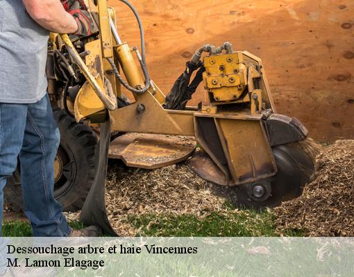 Dessouchage arbre et haie 94300
