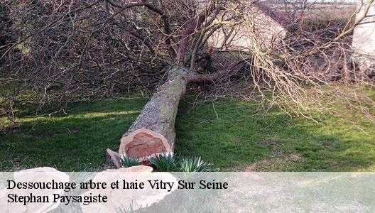 Dessouchage arbre et haie  94400
